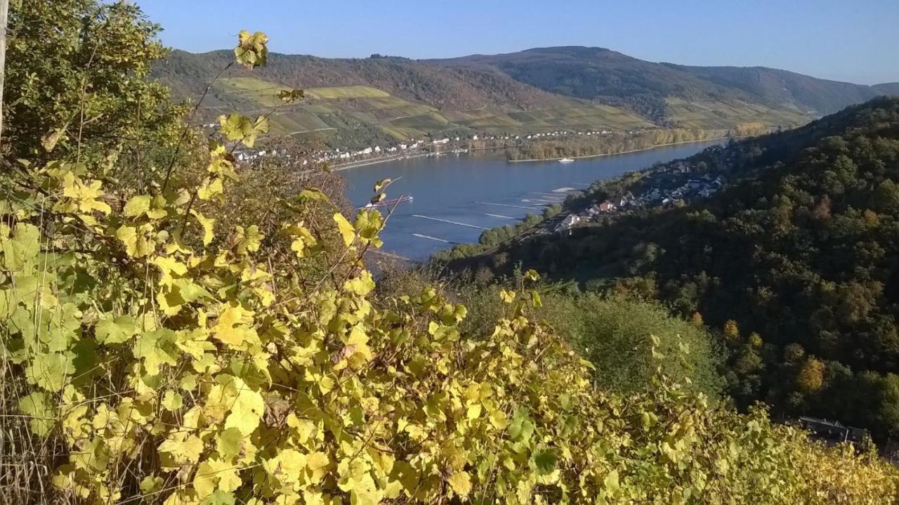 Rainer'S Rheinblick Appartement Oberdiebach Buitenkant foto